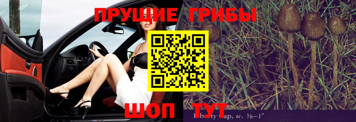 Псилоцибиновые грибы мицелий  Вход с VPN  Будённовск 